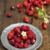 Rugen Alpine Strawberry -Garden Supplies Sales 2024 alpine strawberries 1