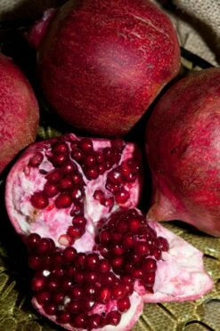 Eve Pomegranate