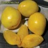 Golden Nectar Asian Plum -Garden Supplies Sales 2024 golden nectar