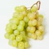 Himrod Seedless Grape 1 Himrod Seedless Grape -Garden Supplies Sales 2024 himrod grape