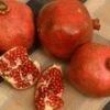 Red Silk Pomegranate -Garden Supplies Sales 2024 httpraintreenursery.netpd491 01