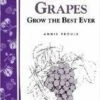 Great Grapes -Garden Supplies Sales 2024 httpraintreenursery.netps180