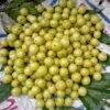Colossal Gooseberry 1 Colossal Gooseberry -Garden Supplies Sales 2024 shutterstock 1811261533 1 1
