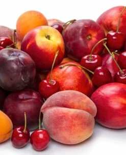 Fruit Cocktail (5 Varieties)