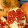 Sweet Pomegranate -Garden Supplies Sales 2024 sweet