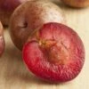 Combo Zee Sweet Pluot Tree (3 Varieties) -Garden Supplies Sales 2024 zee sweet pluot